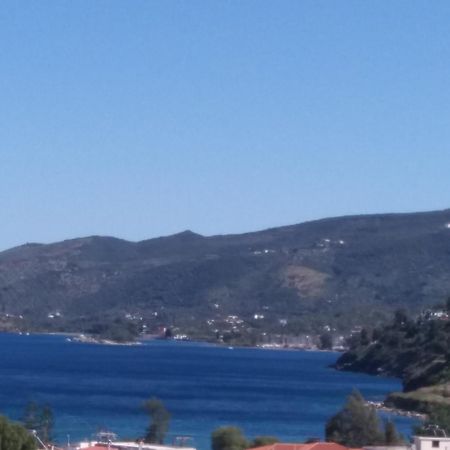 Forest & Sea Apartment Poros Town Eksteriør bilde