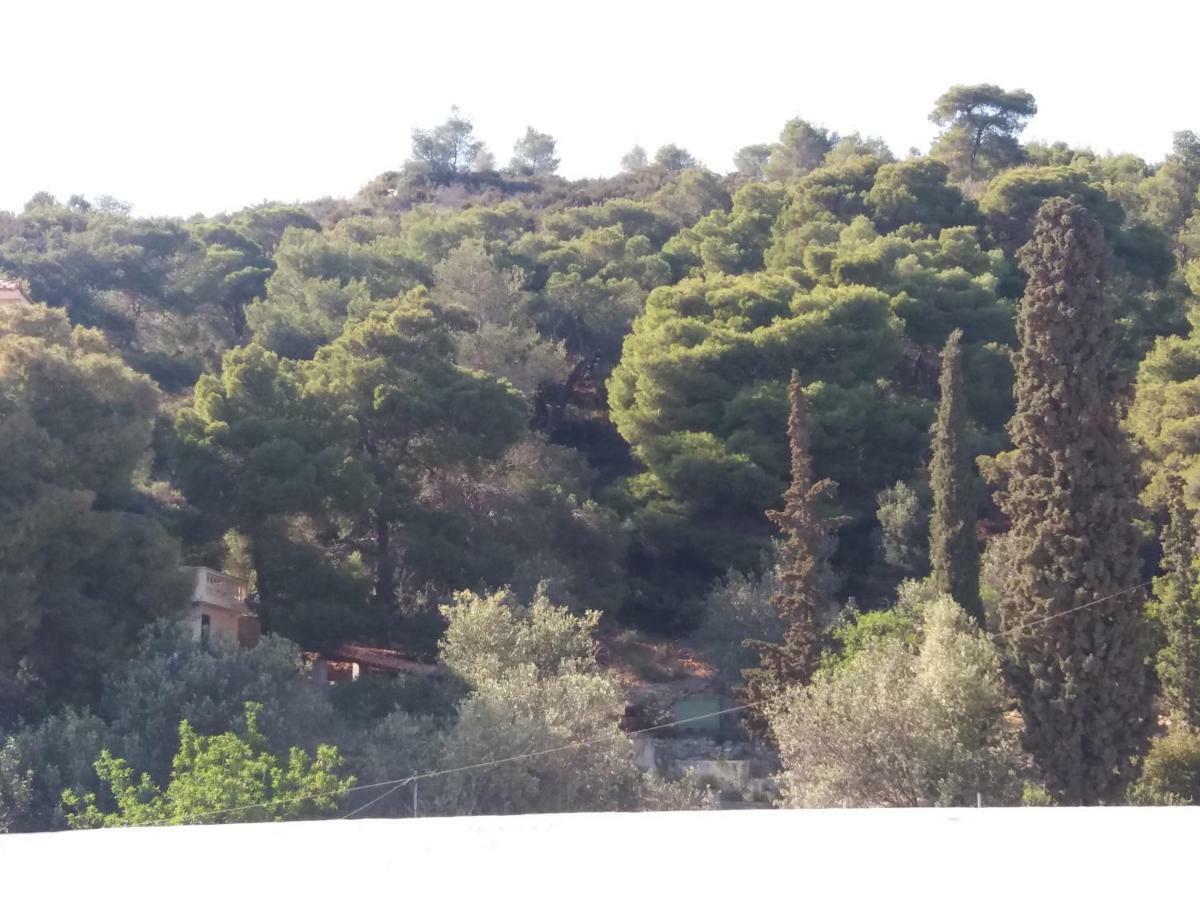 Forest & Sea Apartment Poros Town Eksteriør bilde