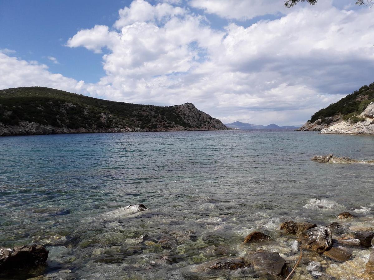 Forest & Sea Apartment Poros Town Eksteriør bilde